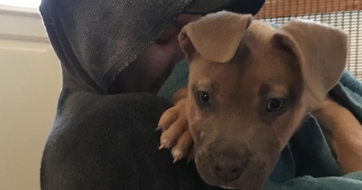 Halsey mourns sudden death of dog in heartbreaking post: ‘The worst week of my life’