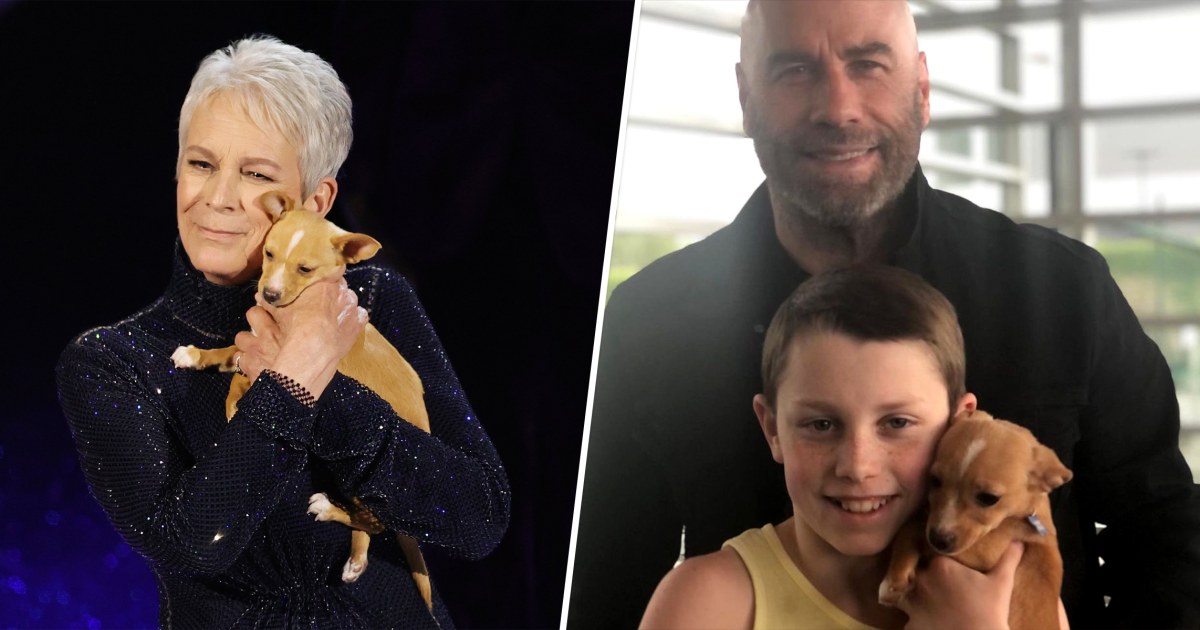 John Travolta adopts the dog from the Betty White Oscars tribute — thanks to Jamie Lee Curtis