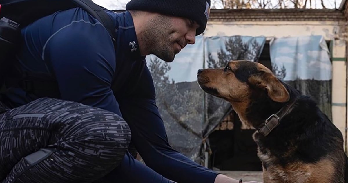 One American left safety behind to care for abandoned animals in Ukraine