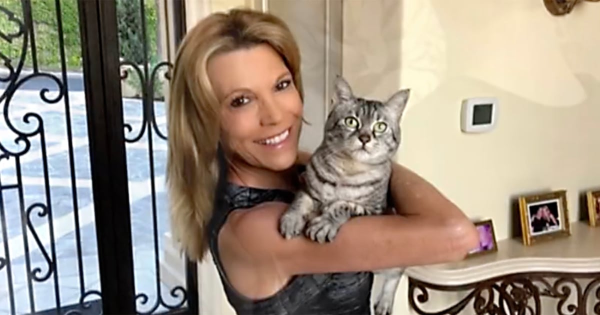 ‘Wheel of Fortune’ puts together sweet video for Vanna White after her cat passed away