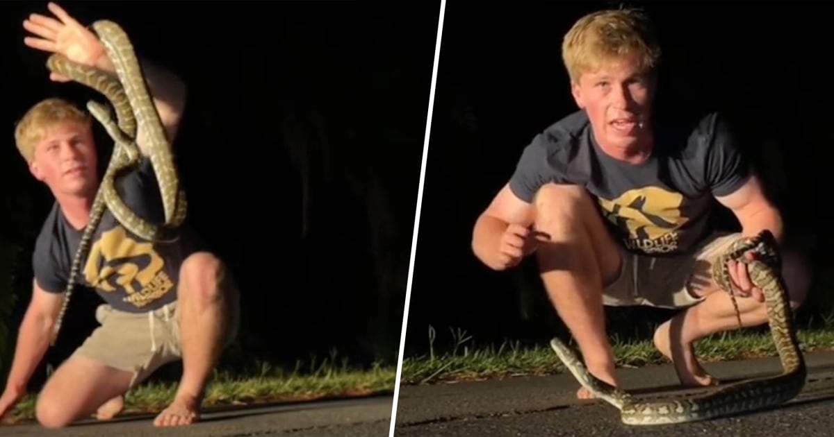 Robert Irwin Relocates a Snake From the Middle of the Road at His Family Zoo