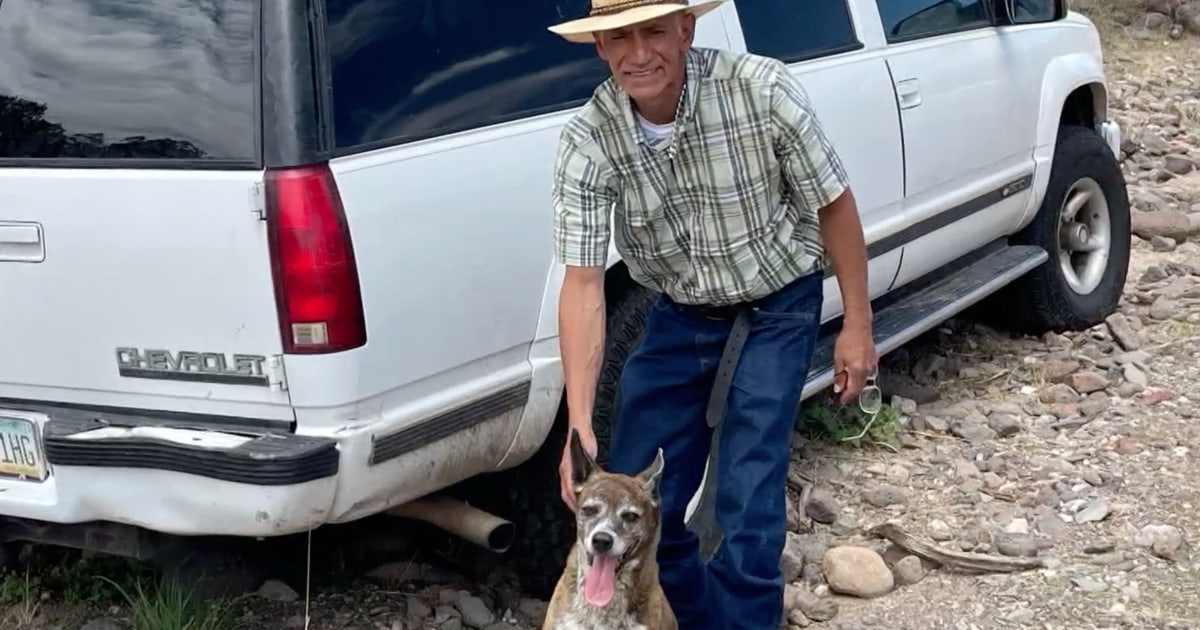 Man and 14-year-old dog rescued by stranger after surviving 6 days in the desert