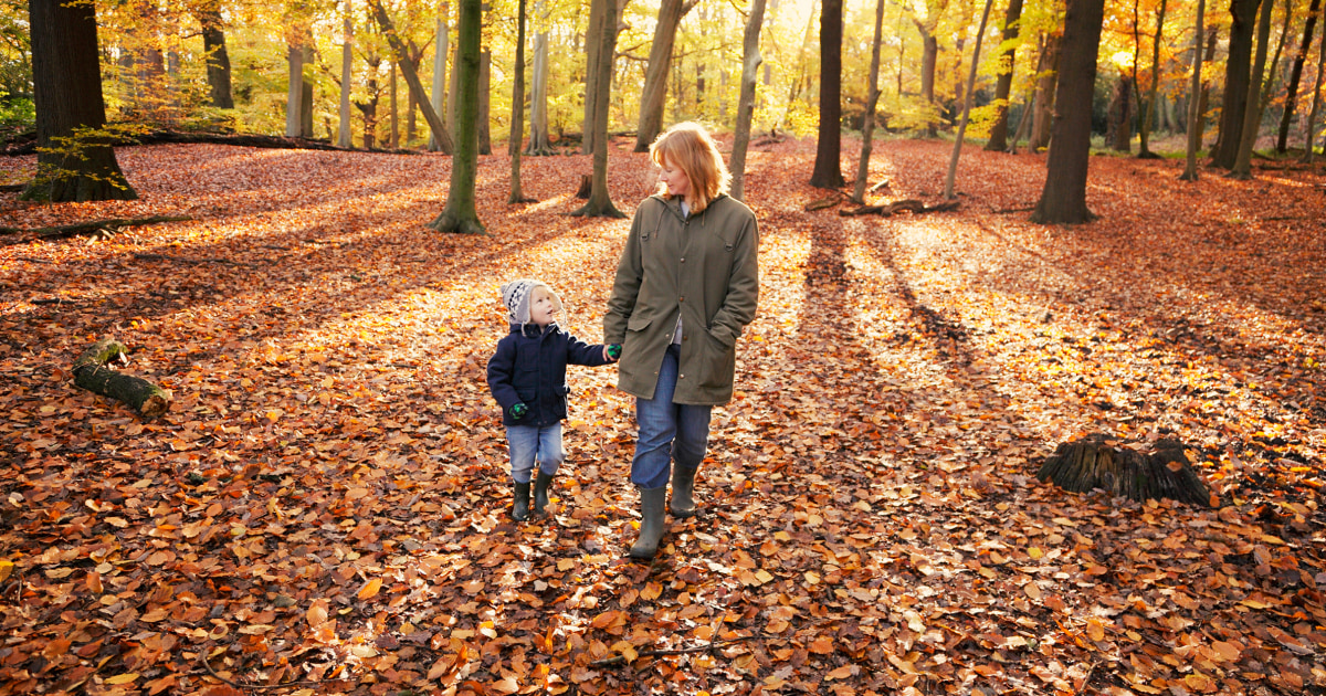 November Holidays and Observances 2022 - November Calendar With Holidays