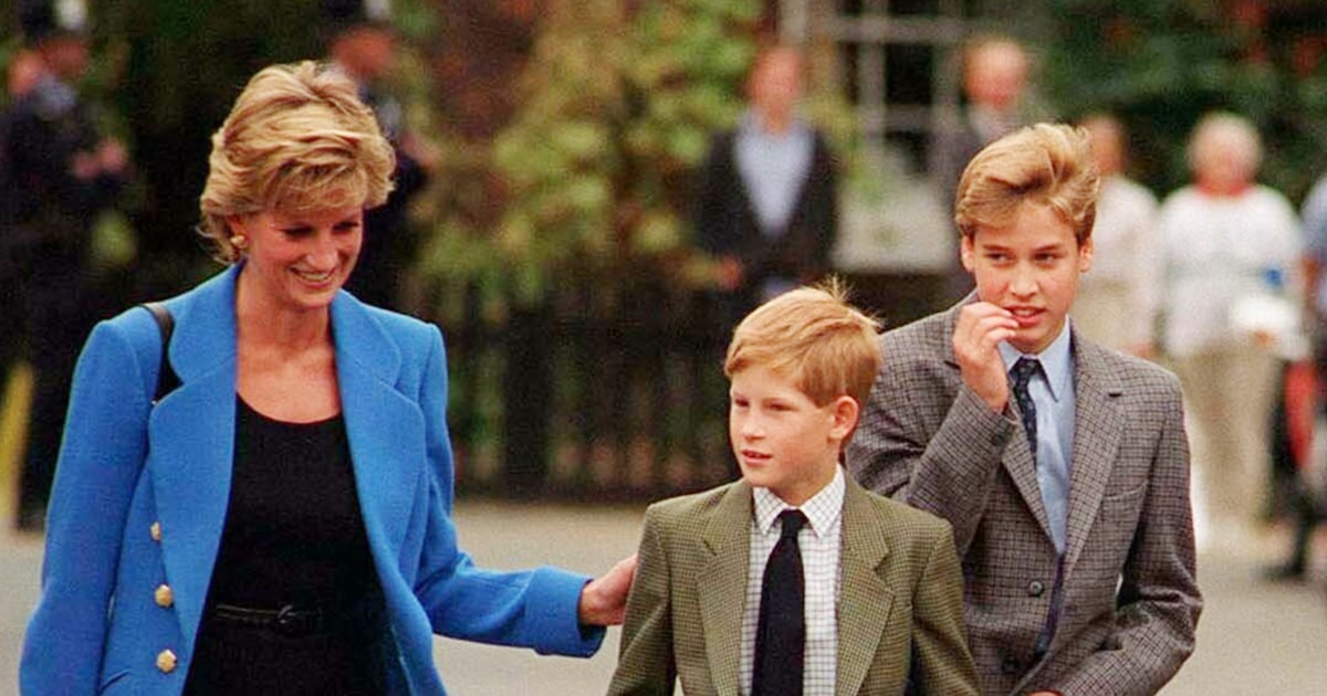 Prince William And Prince Harry's Heartbreaking Quotes About Princess Diana