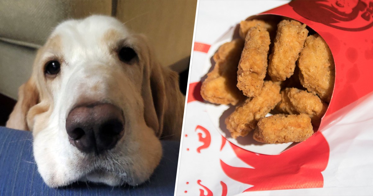 Tweet About a Dog Eating Chicken Nuggets at a Wendy’s Drive-Thru Inspires More Happy Pet Stories