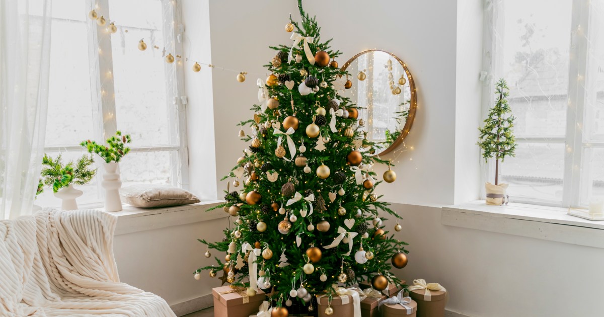 30 Best White Christmas Tree Ideas 2022