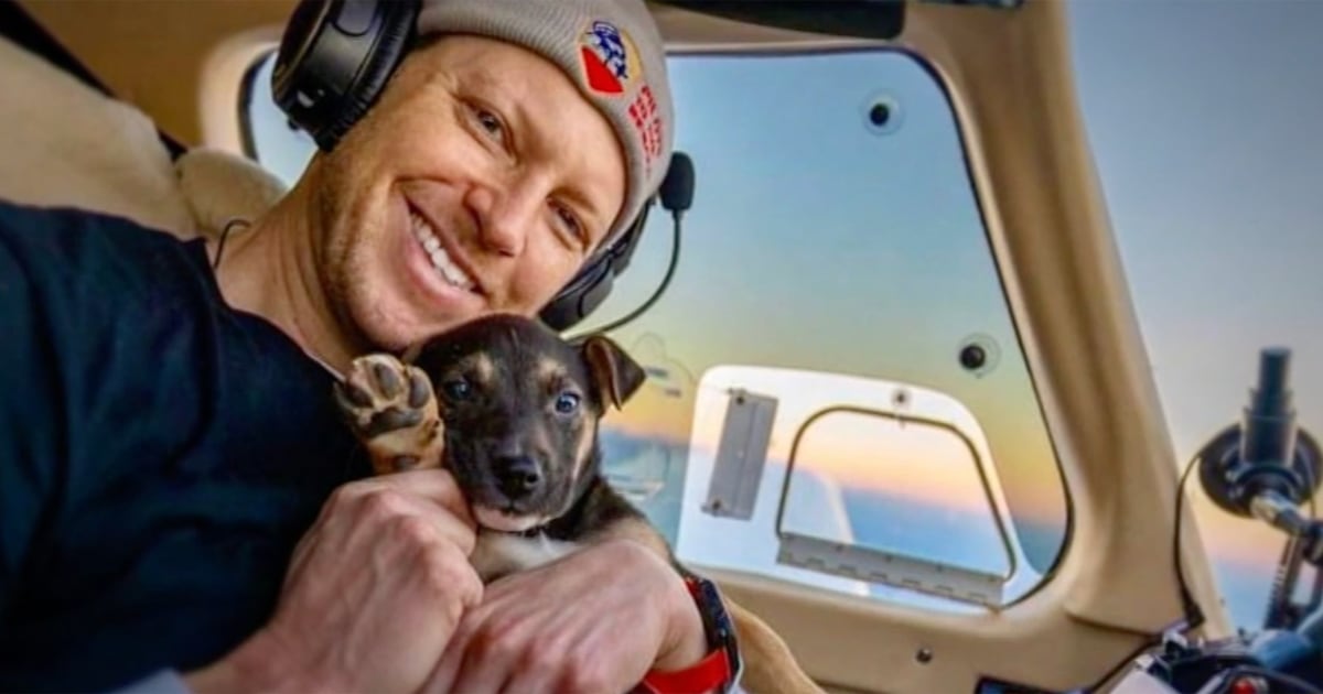 inside-a-rescue-pilot-s-mission-to-save-26-dogs-in-texas-and-find