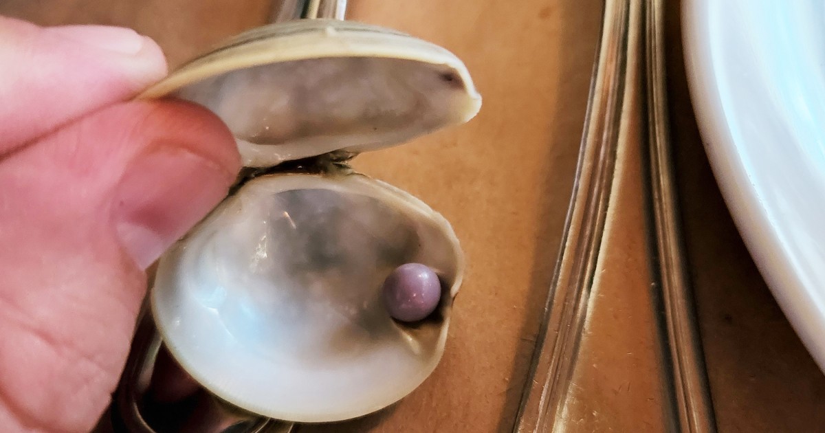 Man discovers rare purple pearl in clam appetizer at Delaware restaurant