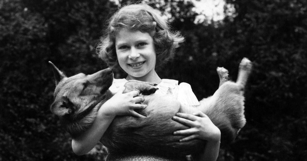 Queen Elizabeth Had a Deep Love for Animals Since She Was a Young Princess