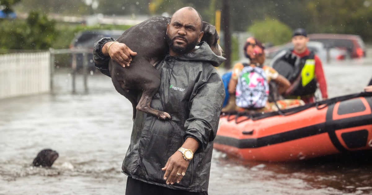 Floridians Work 24-hour Shifts To Rescue Pets Stranded After Hurricane ...