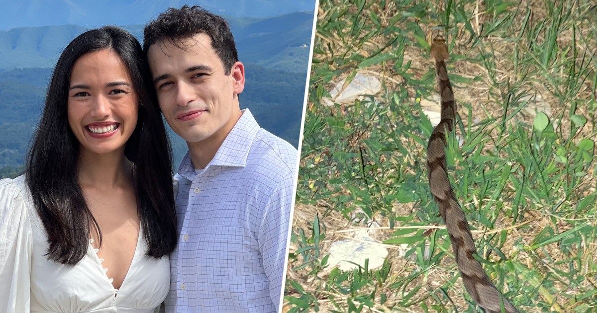 The Night a Venomous Snake Tried To Sabotage My Wedding