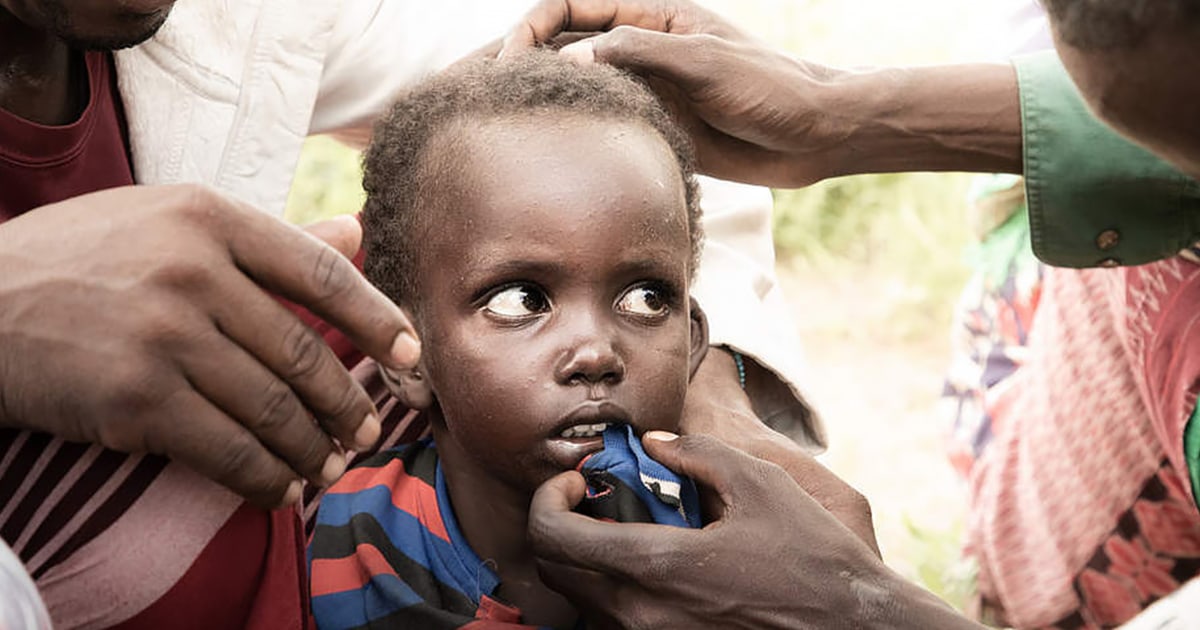 4-year-old boy survives 6 days alone in African wilderness