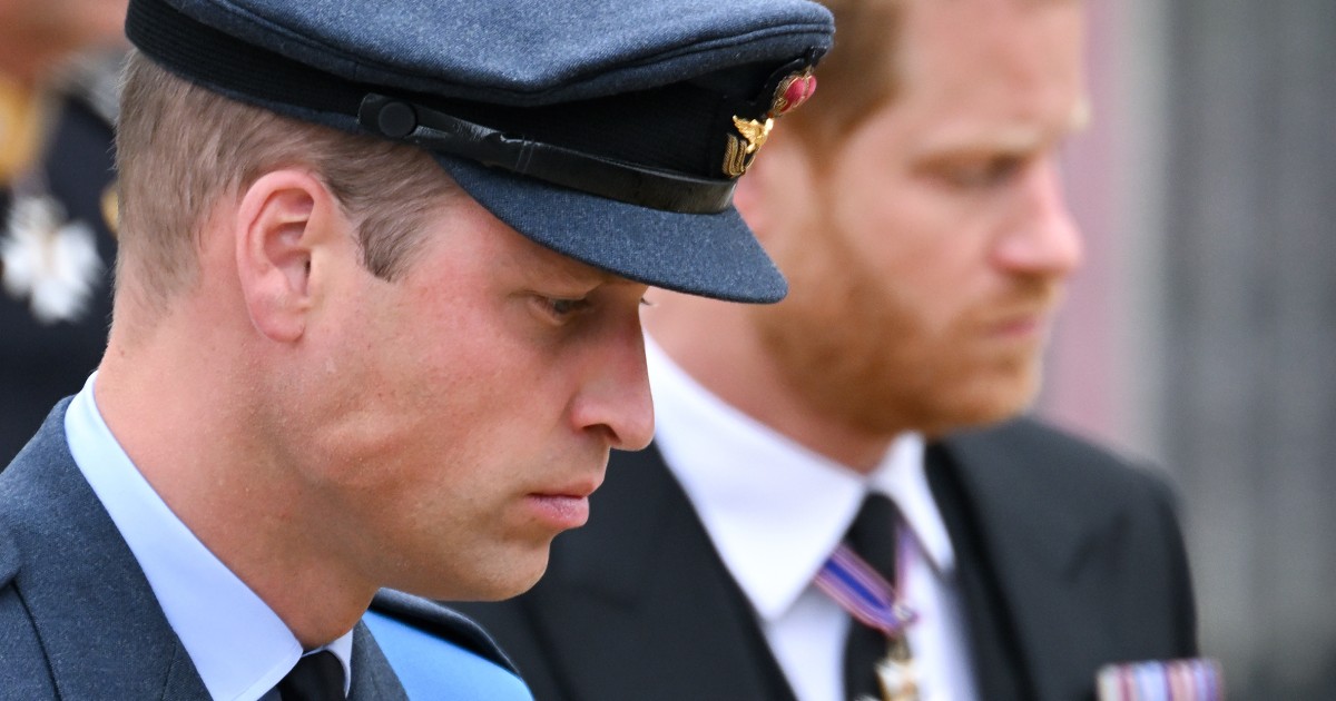 Prince Harry Says Prince William Screamed At Him During Family Meeting