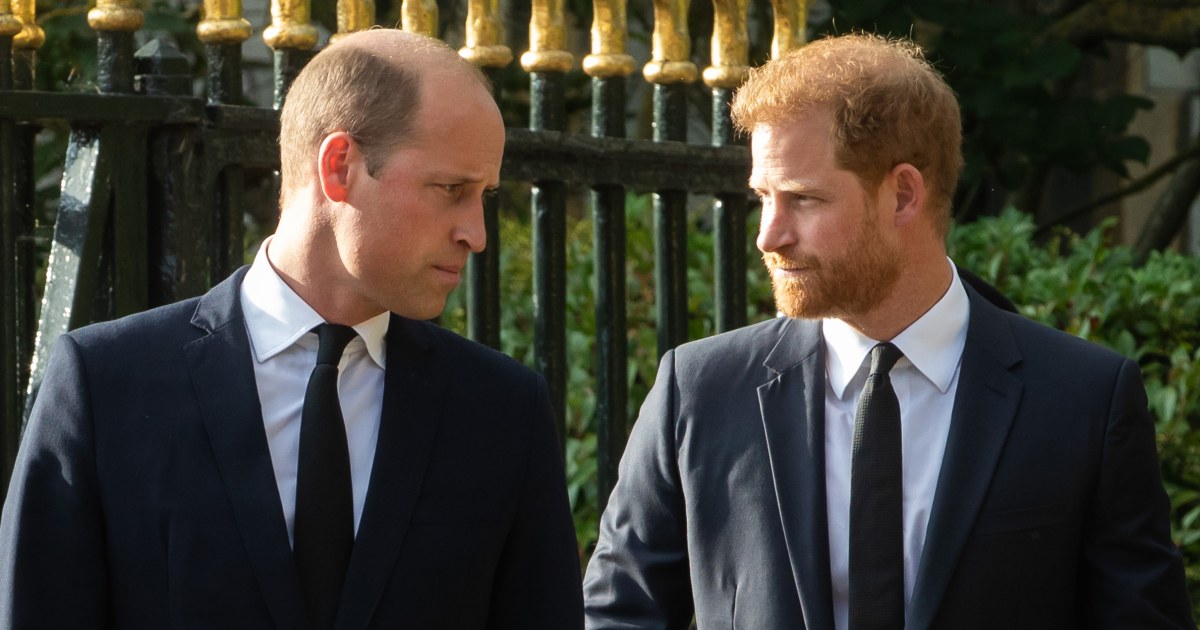 Prince Harry Says Prince William Physically Attacked Him During Fight ...