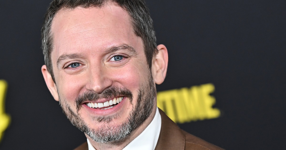 Elijah Wood Is A Father Of 2 Now