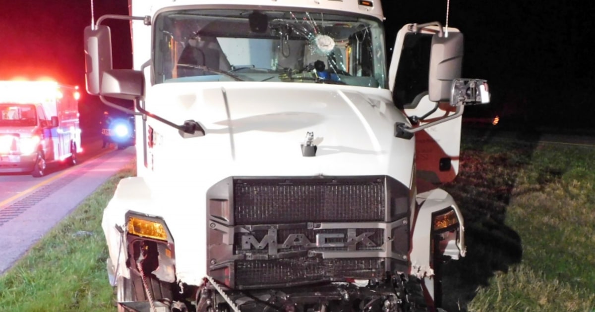 FedEx driver knocked unconscious with son in vehicle after rock thrown