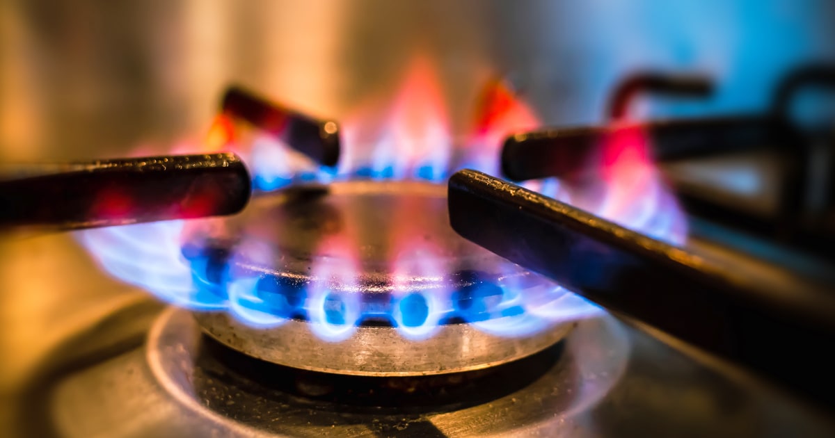 The country’s first gas stove ban has been thrown out TrendRadars