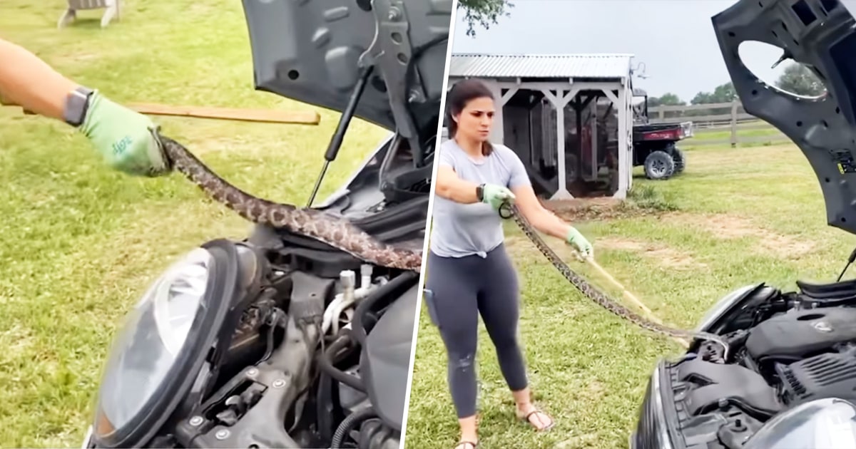 Mom Pulls Snake From Teen Daughter’s Car Engine