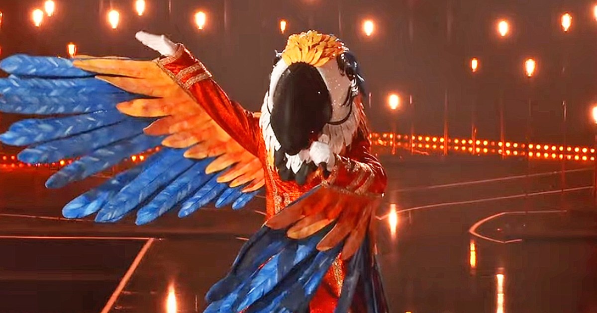 Who Is Macaw On The Masked Singer? Fans Think It's An American Idol Alum