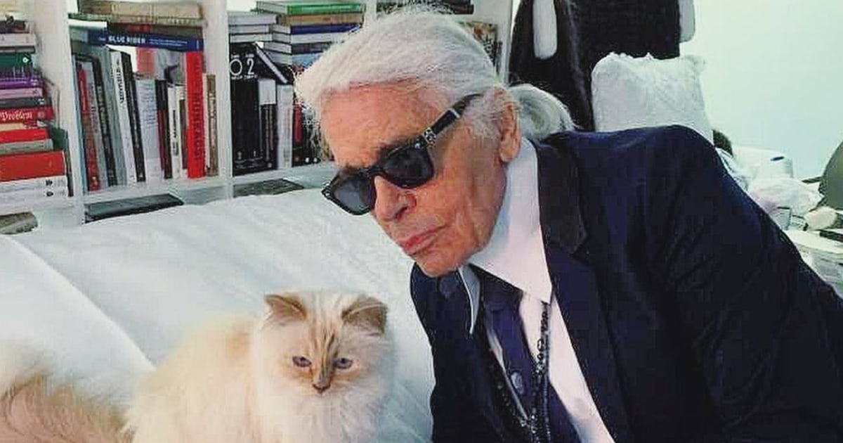 Choupette, Karl Lagerfeld’s cat, responds to her Met Gala tributes ...