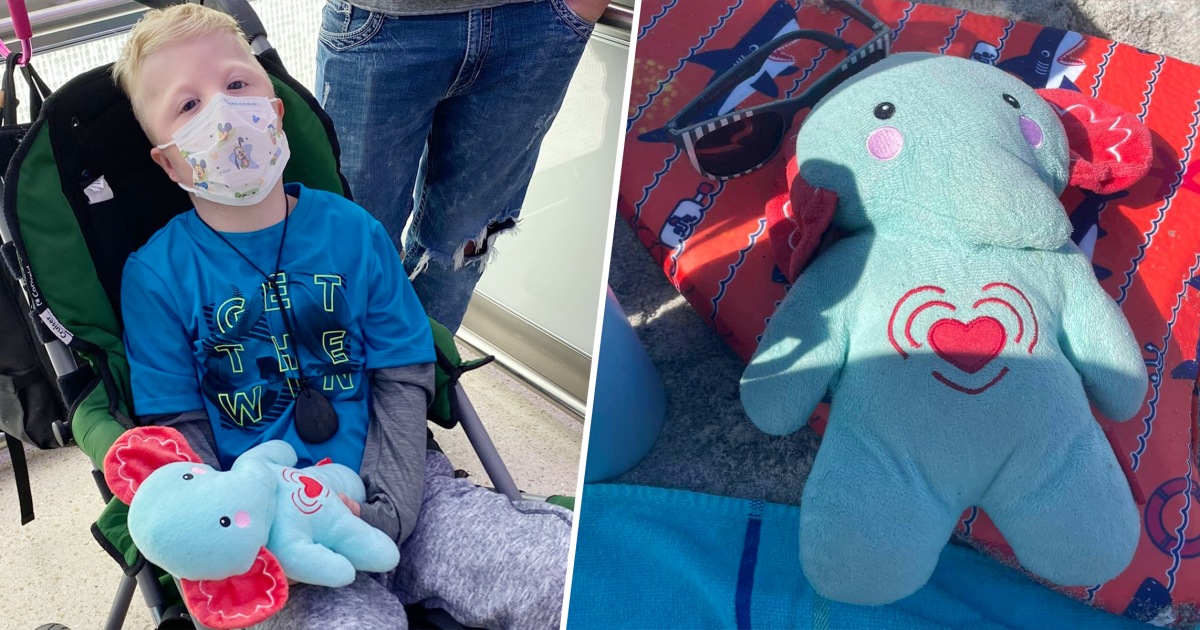 Mom Searches For Missing Stuffed Elephant Containing Son's Ashes