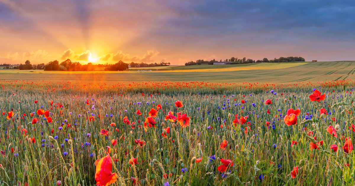 What Does Summer Solstice Represent Spiritually