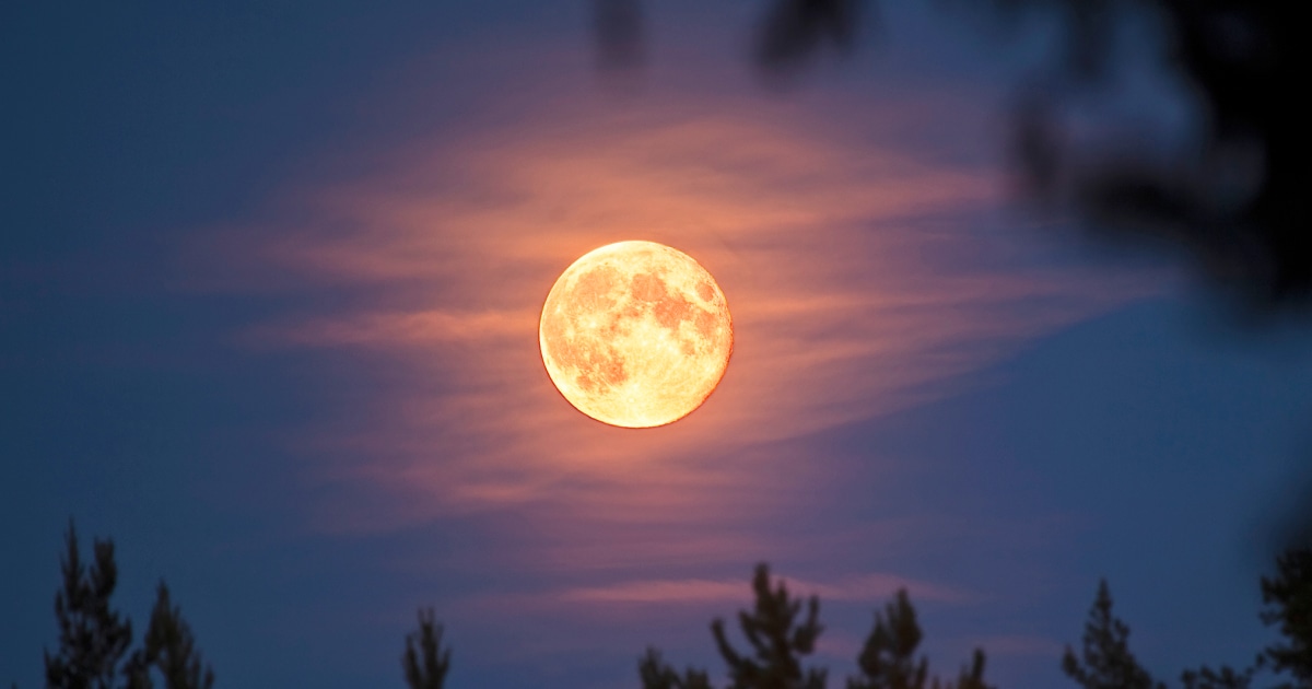 What December's 2023's Full Moon In Cancer Means For Your Sign