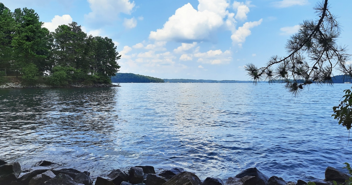 Man Dies After Being Electrocuted in Lake Lanier