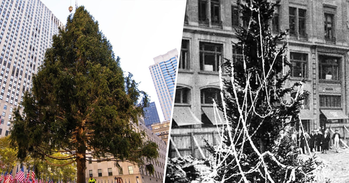 The History Of The Rockefeller Center Christmas Tree Spans All The Way