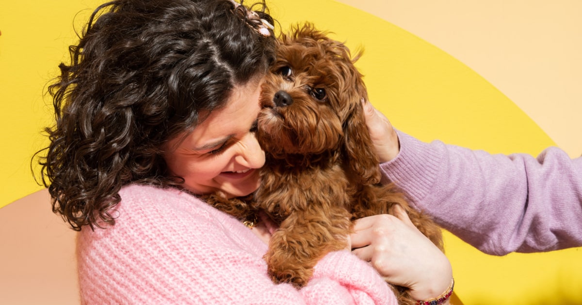 Dog Treat Dispenser with Button - Buy Online