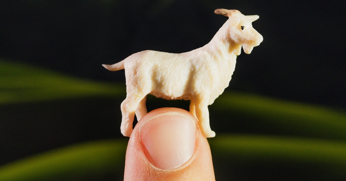Capricorn season 2024 horoscopes: How your sign will be affected