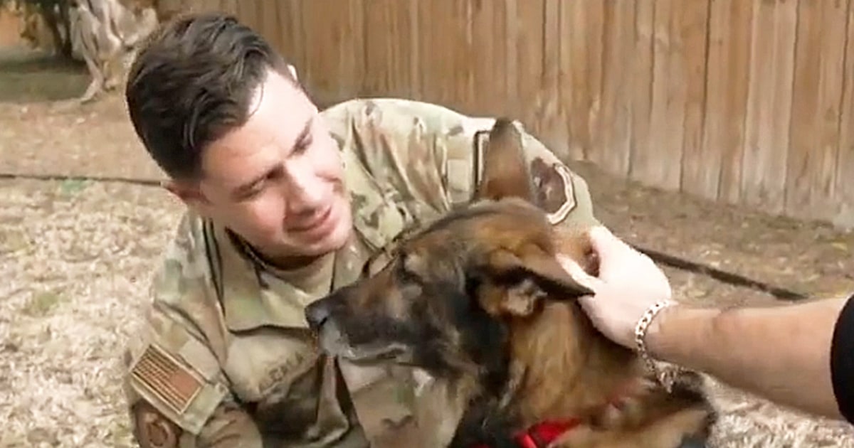 Sergeant Reunites with His Military Dog Retiring From Active Duty