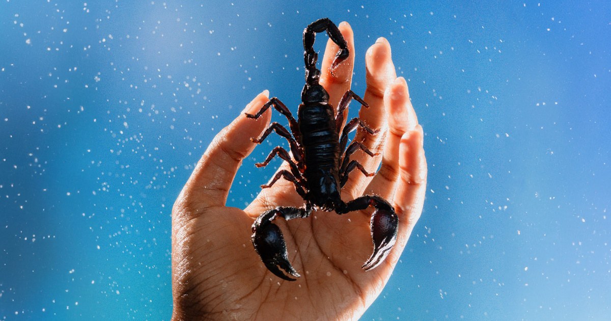 Scorpio season 2024 horoscopes: How your sign will be affected