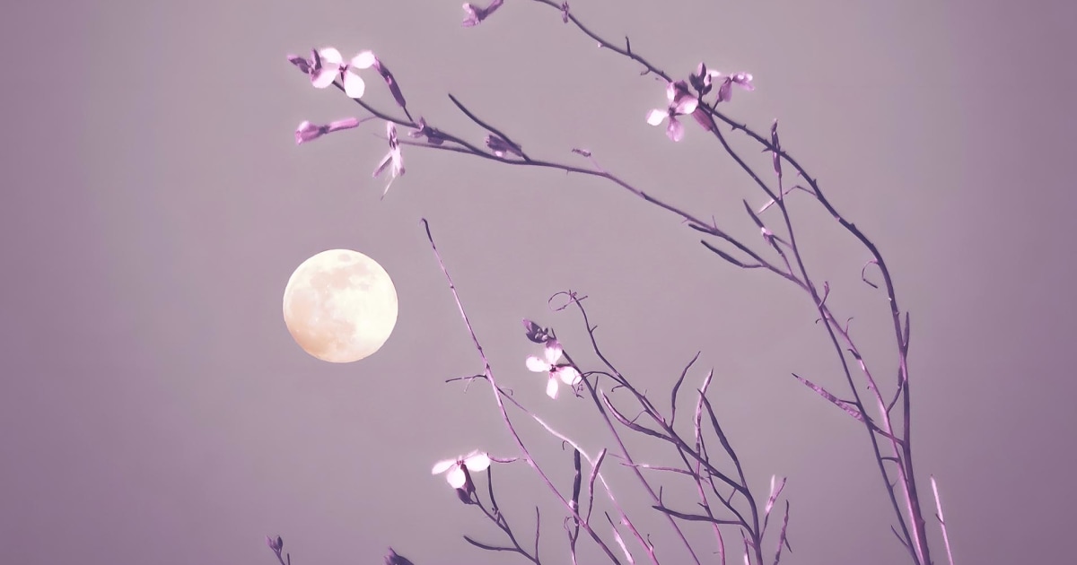 What April 2024's Full Moon In Scorpio Means For Y