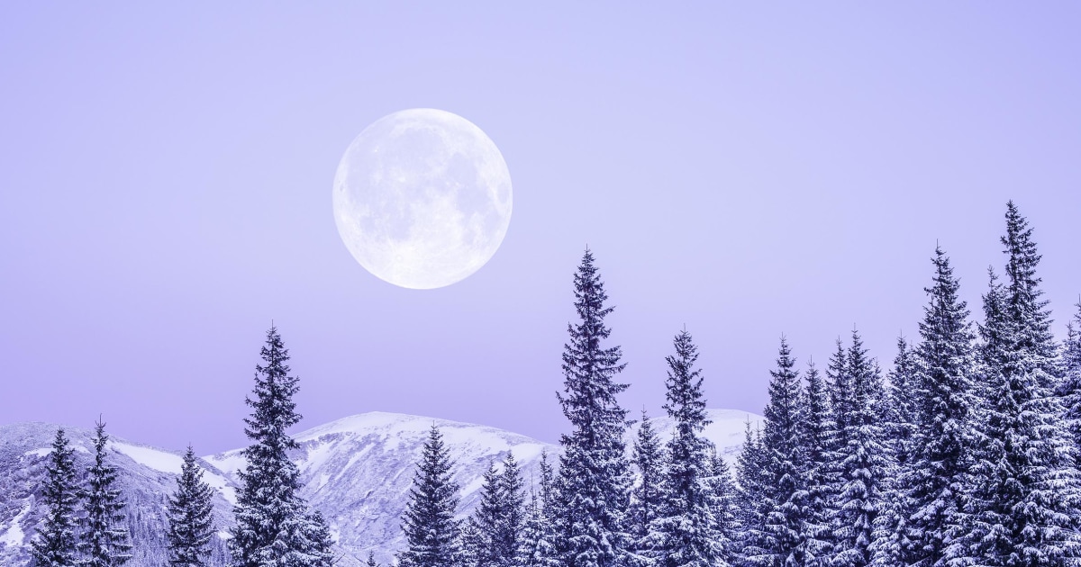 What February 2024's Full Moon In Virgo Means For Your Sign