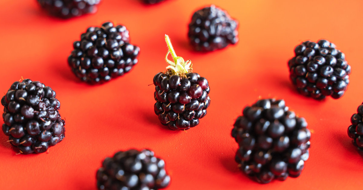 Blackberry Benefits Antioxidants, Fiber Protect Heart And Brain