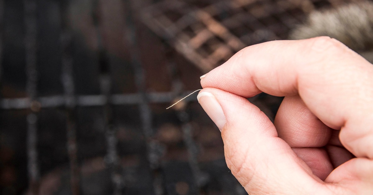 I just learned that wire grill brushes are a nono, what are safer