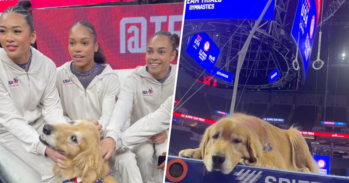 US Gymnastics Therapy Dog Beacon Goes Viral After Olympic Trials