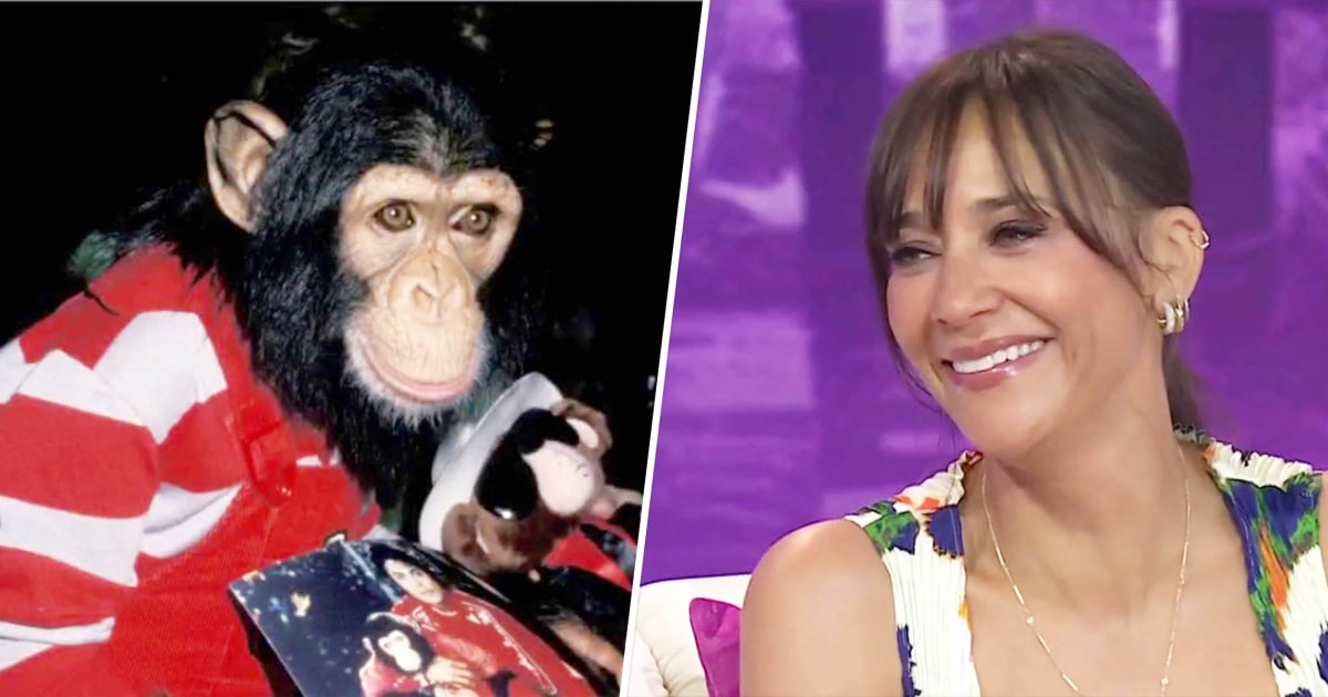 Rashida Jones Recalls Being Bit by Michael Jackson's Chimpanzee Bubbles