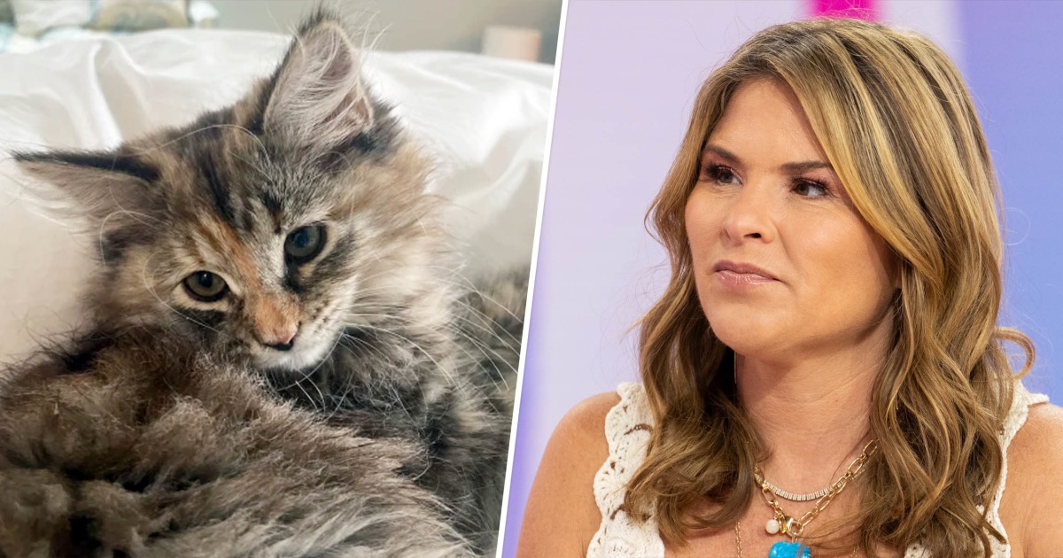 Jenna Bush Hager Says Daughter's Cat Hollywood Is Missing