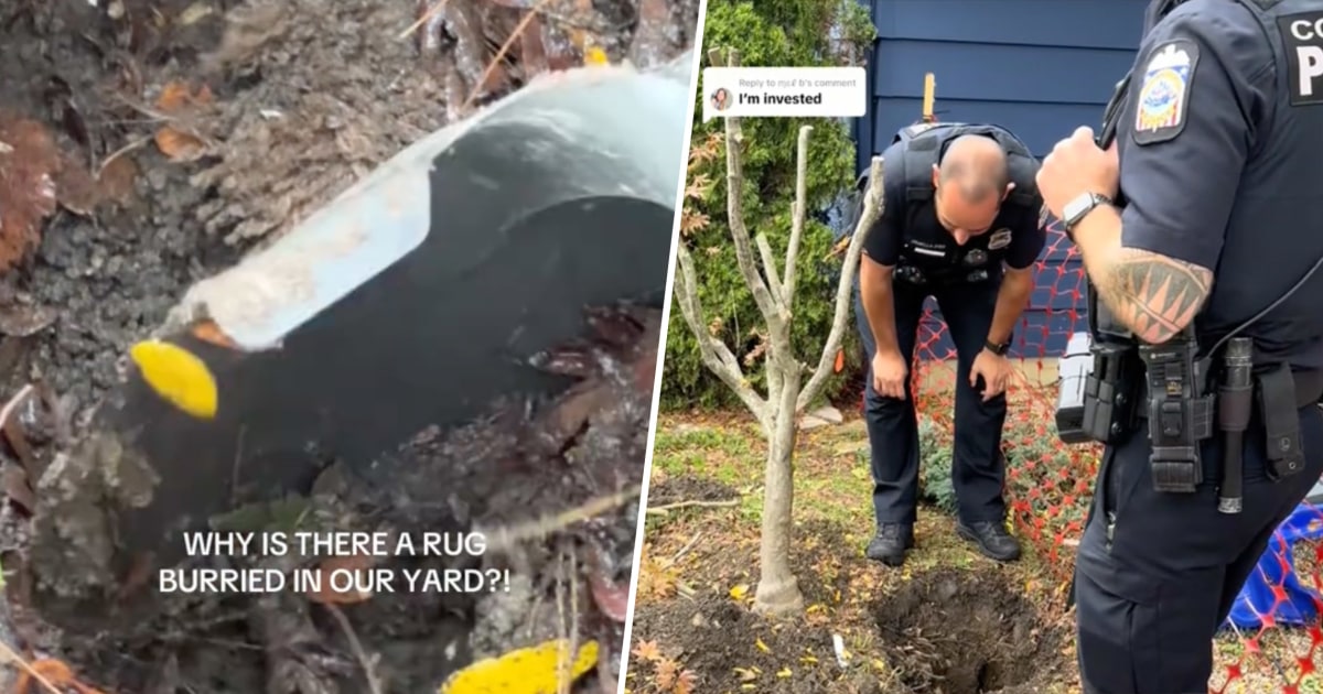 Woman finds buried carpet in backyard. TikTok and the police are investigating a body