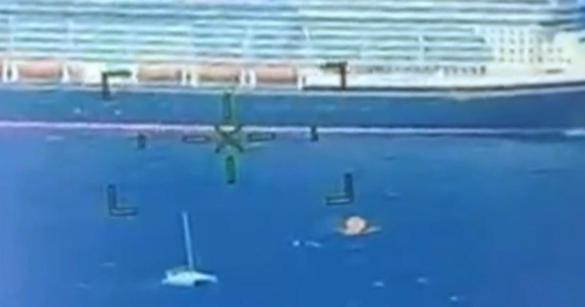 Disney cruise ship comes to rescue of sinking catamaran, saves 4 people