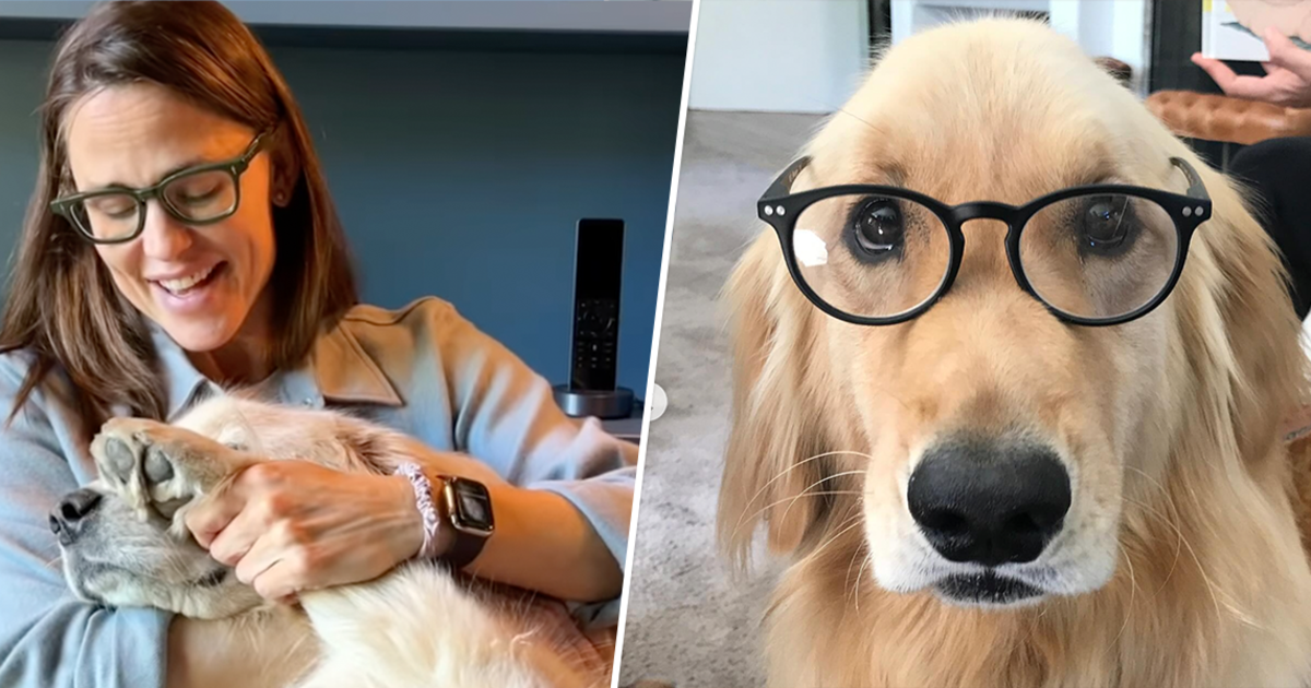 ジェニファー・ガーナー、犬バーディーの死を悼む