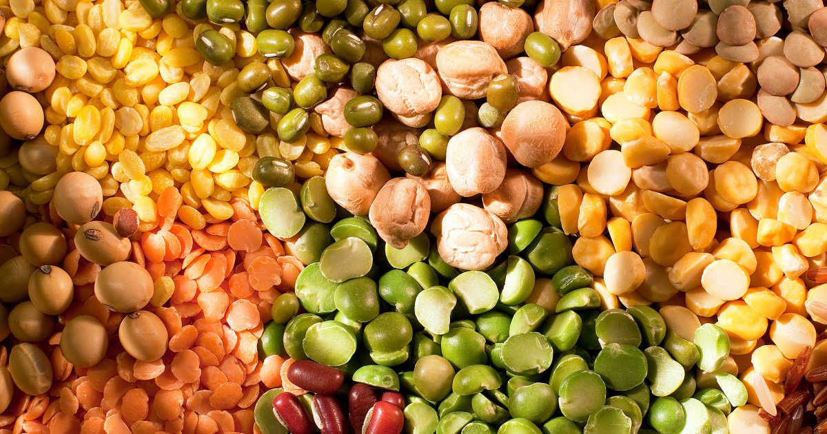 2025 US Dietary Guidelines Propose Eating More Of This 1 Food