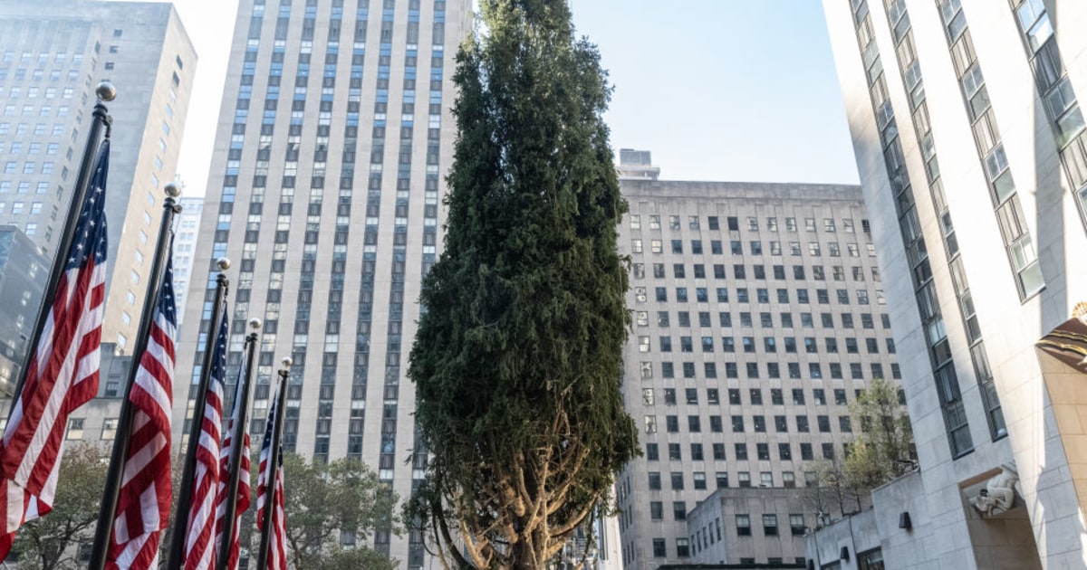 The 2024 Rockefeller Center Tree Lighting Is Here Live Updates