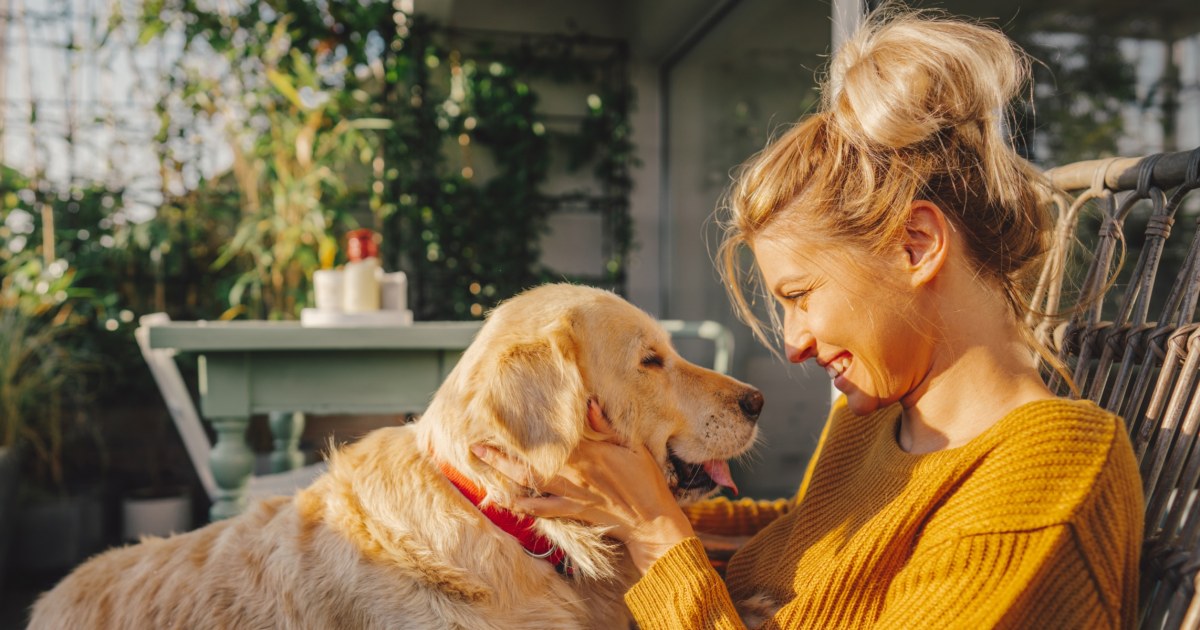 Famous People Famous Dog Lovers 38 Best Gifts For Dogs And