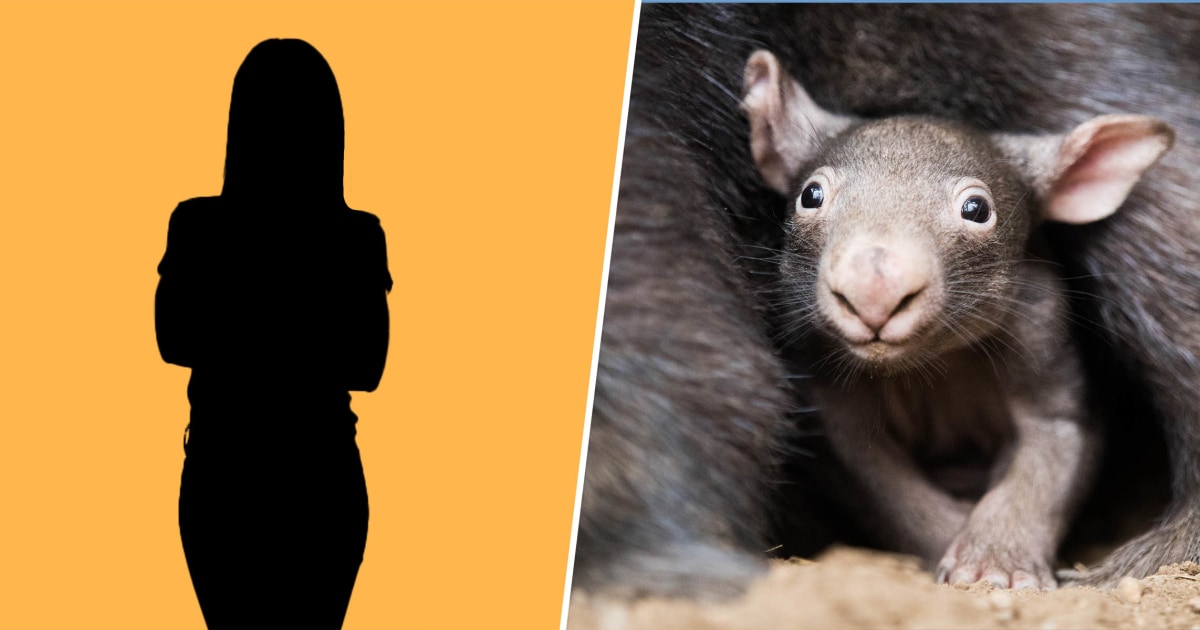 Who is Sam Jones, the influencer who grabbed an Australian baby wombat from its mom?
