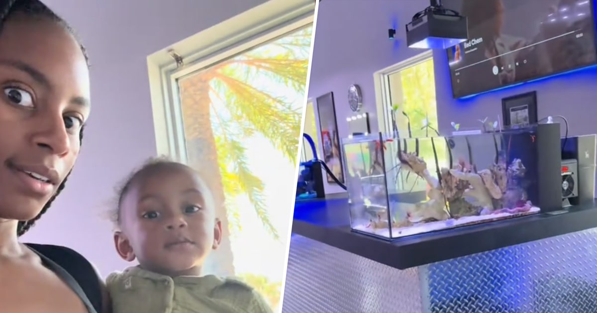 What's the 'Boca Aquarium' Controversy? Why 1 Mom's Innocent Video Went Viral