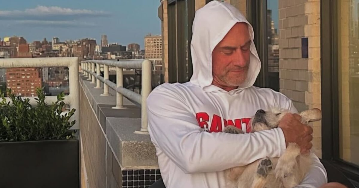 Chris Meloni’s 14-Year-Old Dog Scotty Dies From Cancer, Actor Reveals