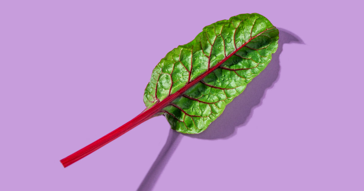 Rhubarb Is Packed With Nutrients for Bone Health, Gut Health and More